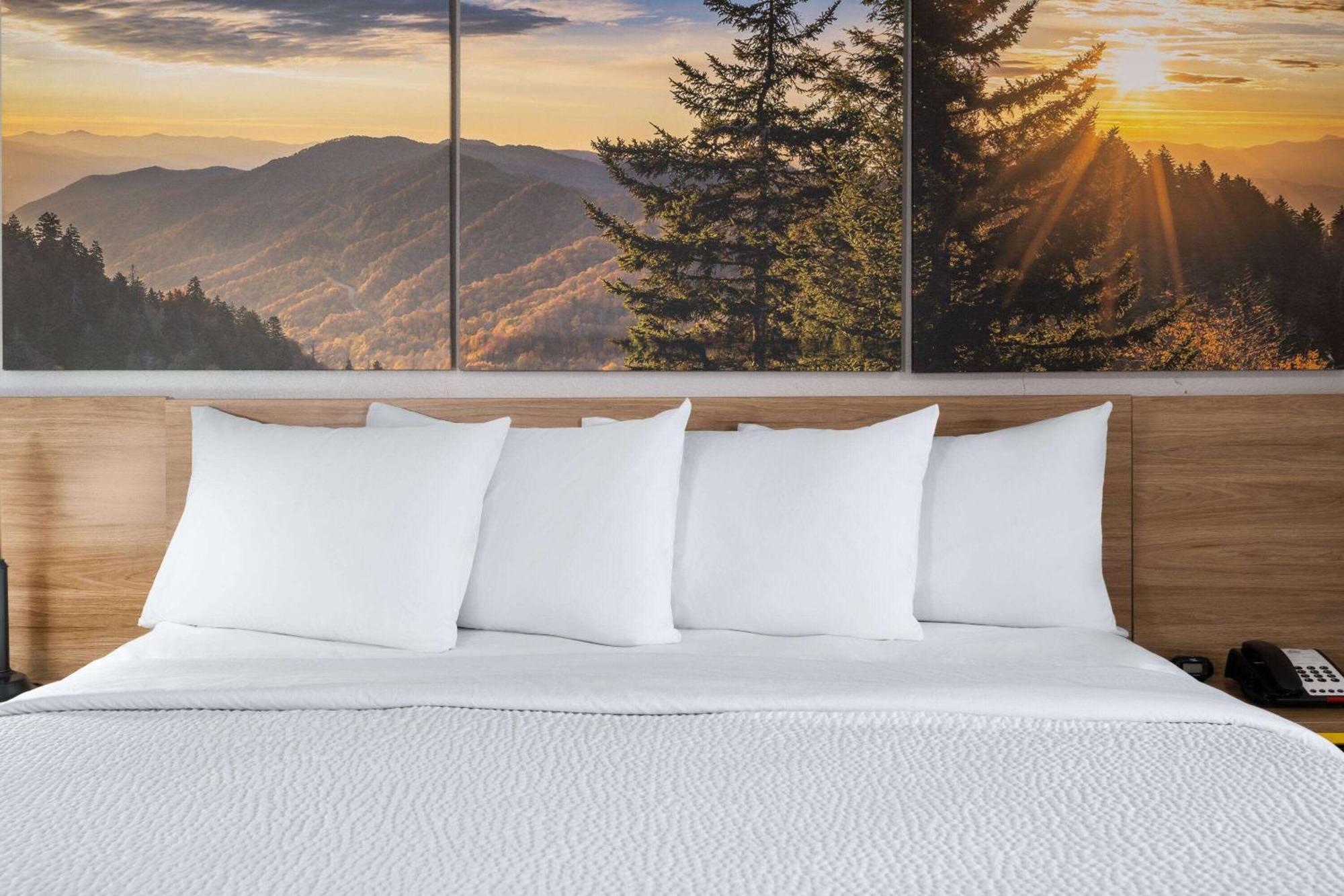 Days Inn By Wyndham Salisbury, Nc المظهر الخارجي الصورة